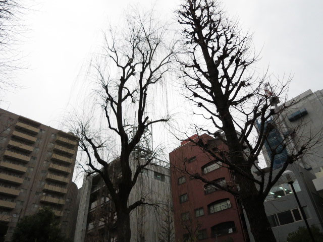 新宿御苑ダイカンプラザ　周辺環境