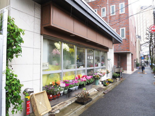 グレースプラザ若松町　周辺環境