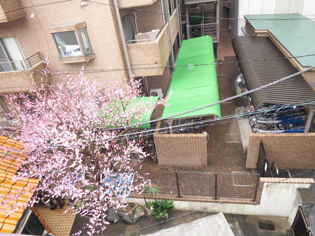 グレースプラザ若松町　眺望