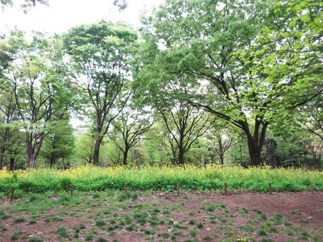 アイタウン・レピア　周辺環境