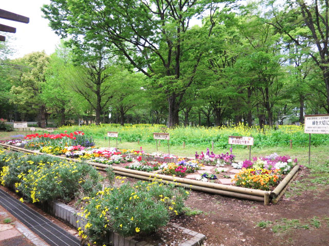 アイタウン・レピア　周辺環境