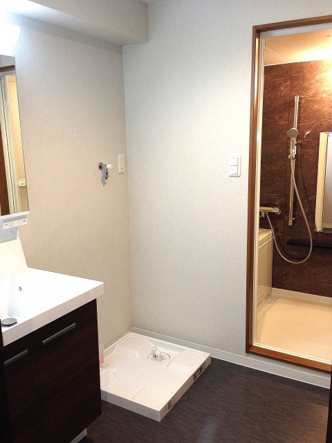 シャルマンコーポ清雅　サニタリールーム