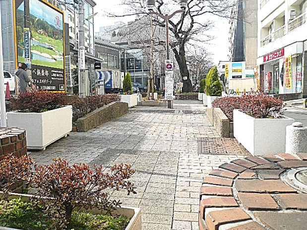 自由が丘第6コーポ　マンションまでの道のり。