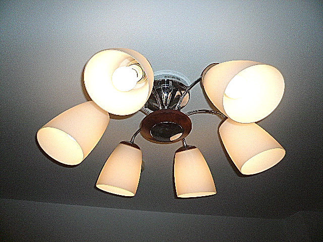 ミオカステーロ目黒都Ⅱ　洋室6.2帖　照明。