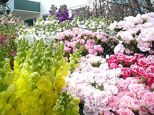 桜新町ヒミコマンション　道のり