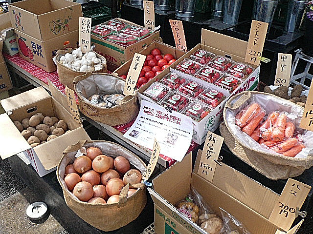 桜新町ヒミコマンション　道のり