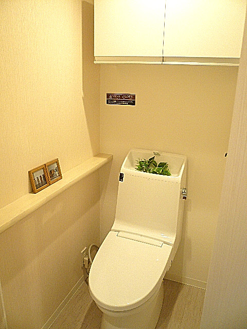 シーアイマンション碑文谷　ウォシュレット付トイレ