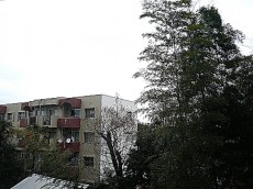 駒沢コーポラス　3階からの眺望です。