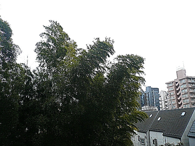 駒沢コーポラス　3階からの眺望です。