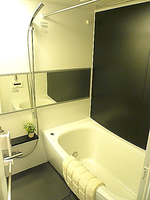 シックでモダンなバスルーム