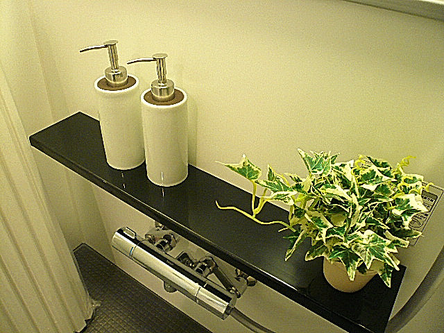 浴室　カウンター部分