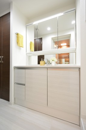 シャンボール常盤松 洗面室