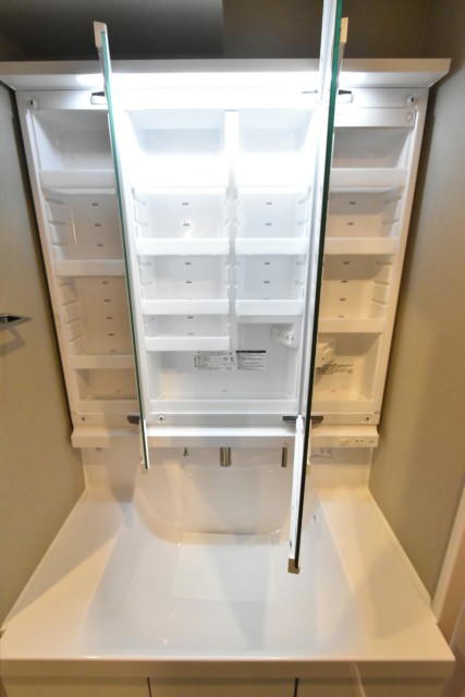 セイワパラシオン笹塚 洗面室