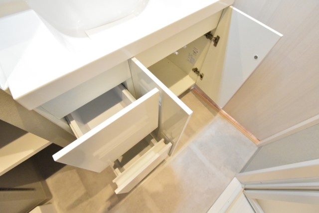 セイワパラシオン笹塚 洗面室