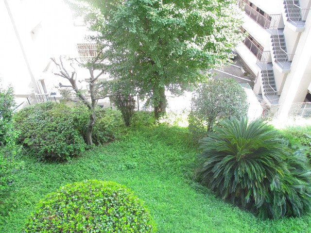 グリーンヒル新宿 (55)リビングから