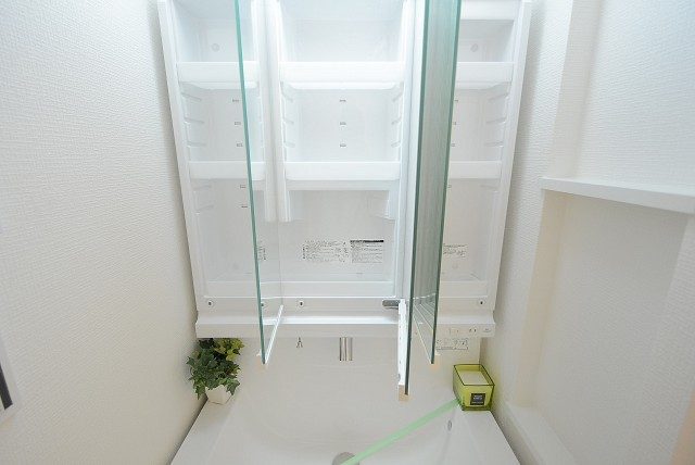 ハヤマビル 洗面室 ハヤマビル 洗面室