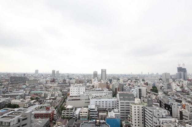 セントラルレジデンス新宿シティタワー　眺望