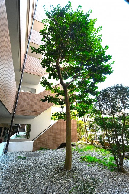 マイキャッスル二子玉川園　中庭