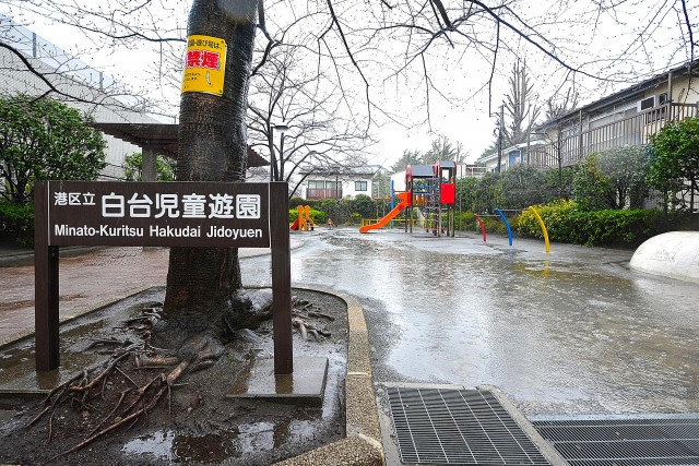 ロイヤル白金ガーデン　周辺