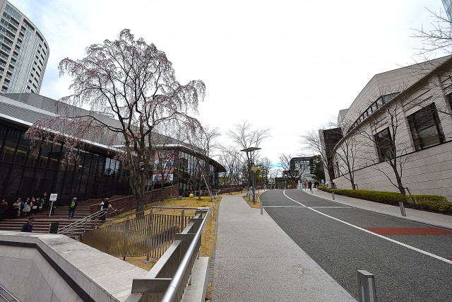 ストーク赤坂　周辺