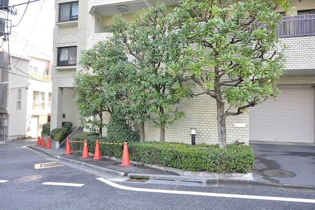 高輪パークホームズ　植栽