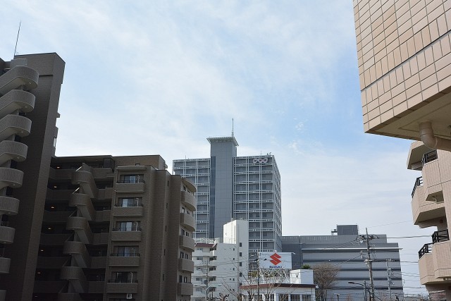 クリオ砧公園1番館　和室眺望
