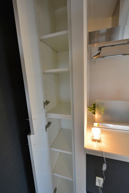 プレミアムキューブ三田　階段下収納