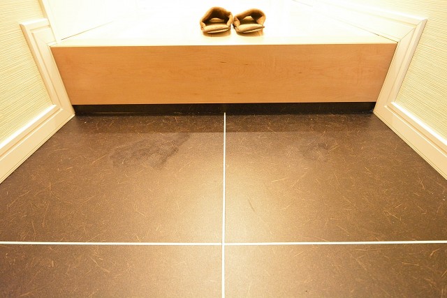 ハイネス文京本駒込　玄関204