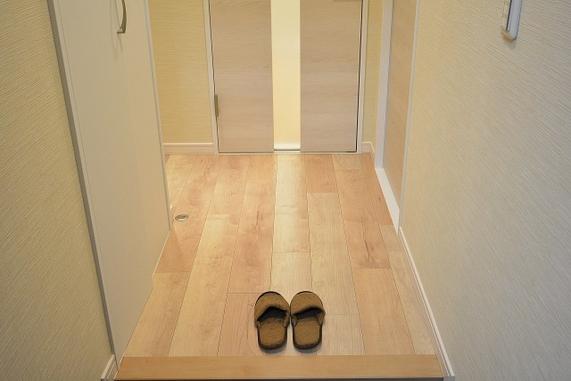 ハイネス文京本駒込　廊下204