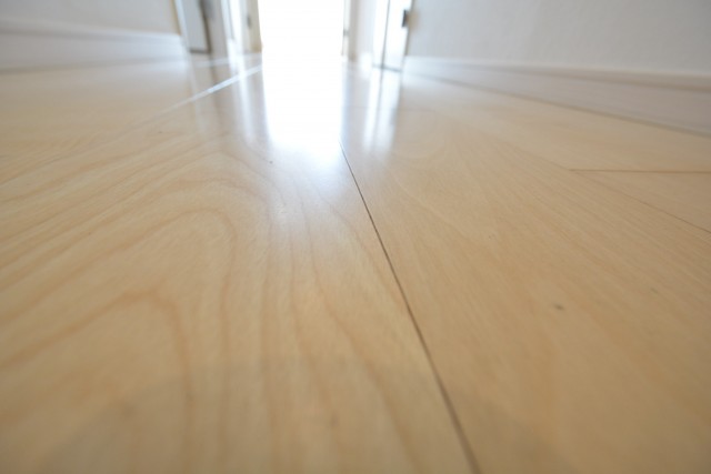 ライオンズマンション北品川第二　廊下