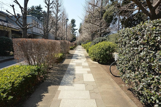 パークハウス哲学堂公園　周辺