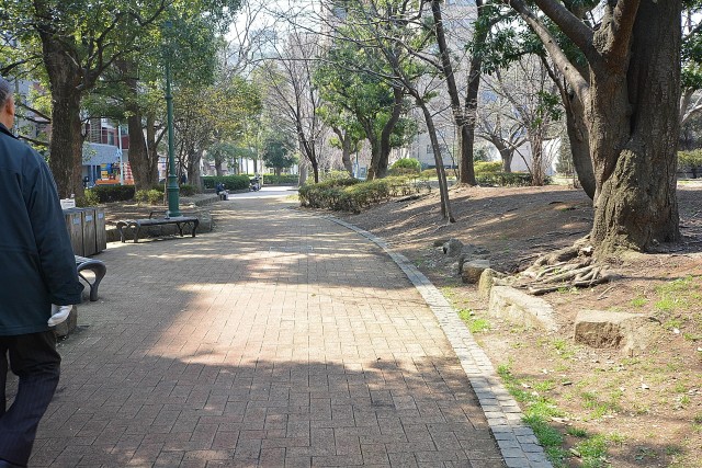 日本橋浜町公園グランドハイツ　周辺