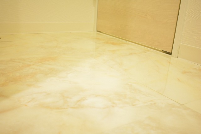 ハイネス文京本駒込　洗面室床204