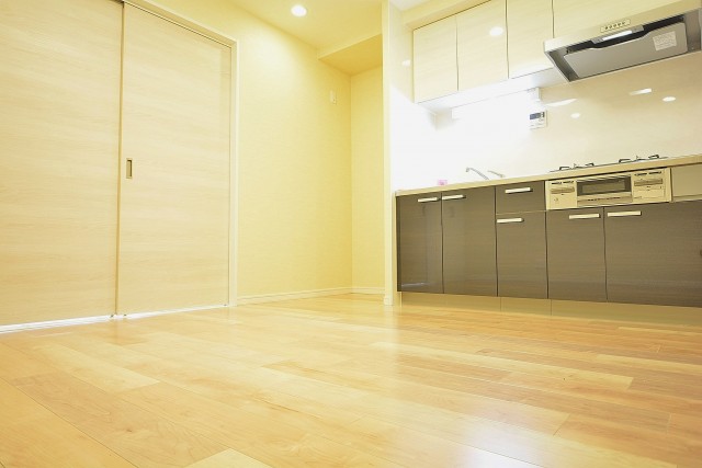 ハイネス文京本駒込　ＬＤＫ204