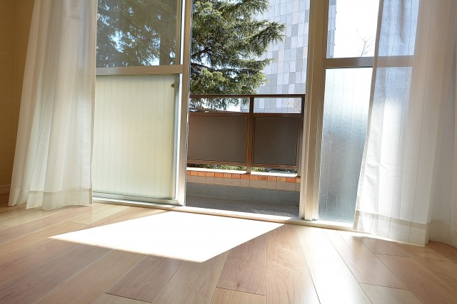 ハイネス文京本駒込　洋室204