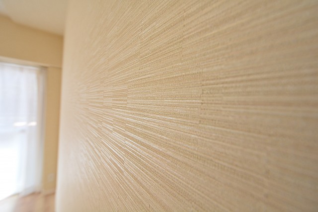 ハイネス文京本駒込　洋室204