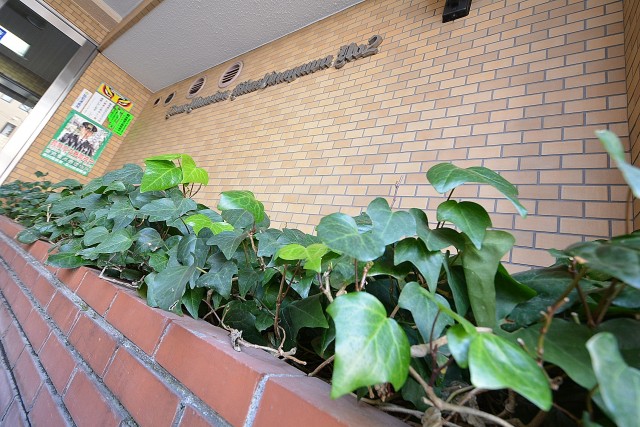 ライオンズマンション北品川第二　エントランス