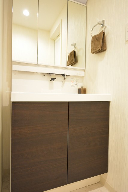 ハイネス文京本駒込　洗面台