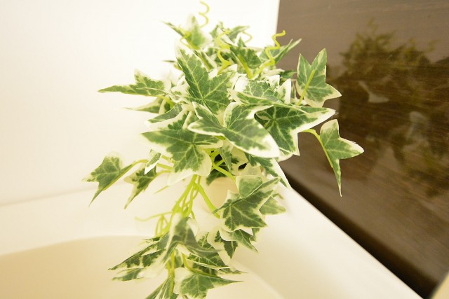 ハイネス文京本駒込　浴室