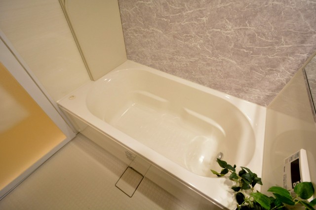 メナー代田　バスルーム703