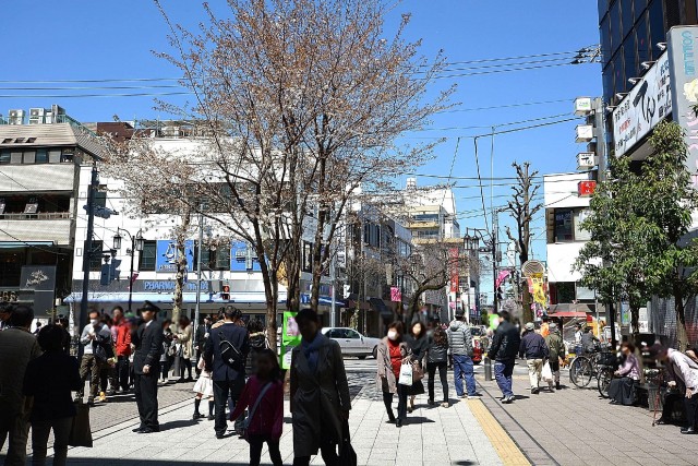 成城エコーハイツ　周辺