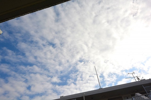 大森西サンハイツ　上を見上げると・・・