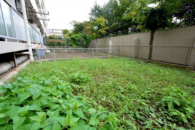 多摩川芙蓉ハイツ　専用庭