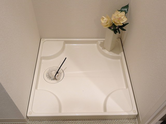 ライオンズマンション高田馬場　洗濯パン