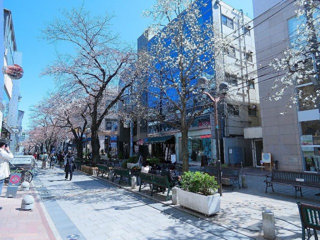 ビラ自由ヶ丘　周辺環境