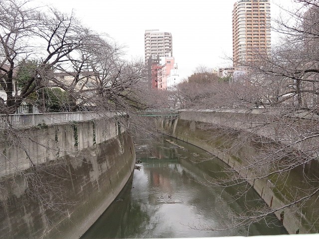 ニューライフ西早稲田　周辺
