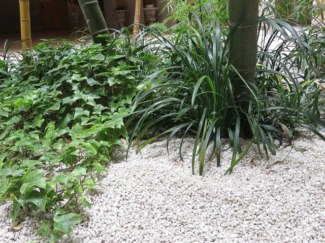 ナビウス二子玉川園　ホール