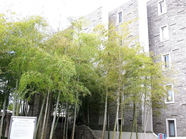 ナビウス二子玉川園　外観