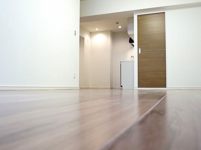 パークハイツ日本橋　ＬＤ