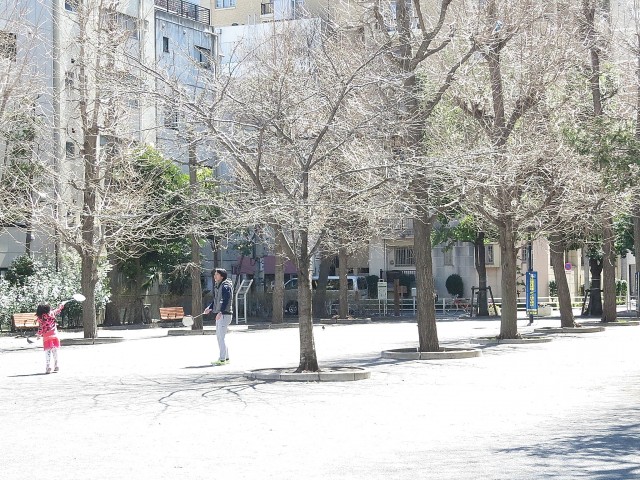 パークハイツ日本橋　周辺